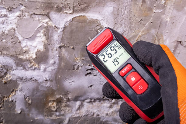 Trusted Arlington, GA Mold Remediation Experts